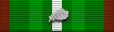 Pathfinder Medal with Silver Oak Leaf