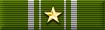 Support Operations Service Medal with Gold Star
